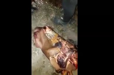 Gore video – A group of young men are amusingly butchering three men