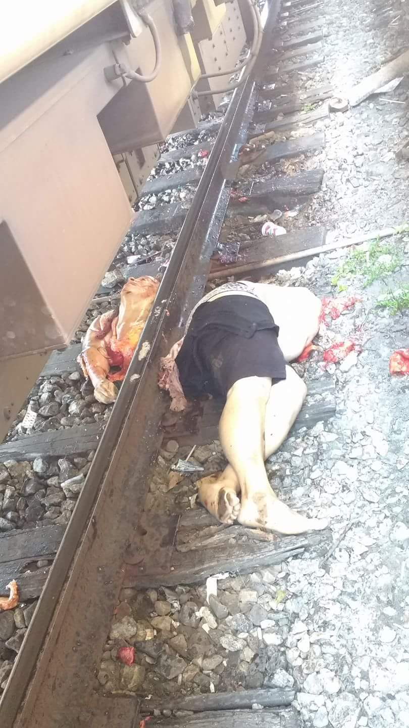 Women cut into pieces by trains