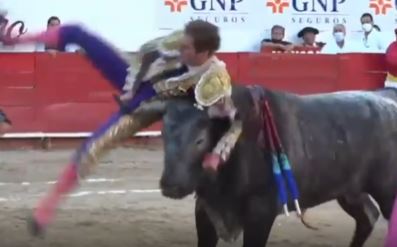 The bullfighter’s penis was ravaged by the bull’s horn