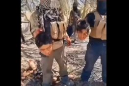 Women tied up like bdsm and beheaded - xgore