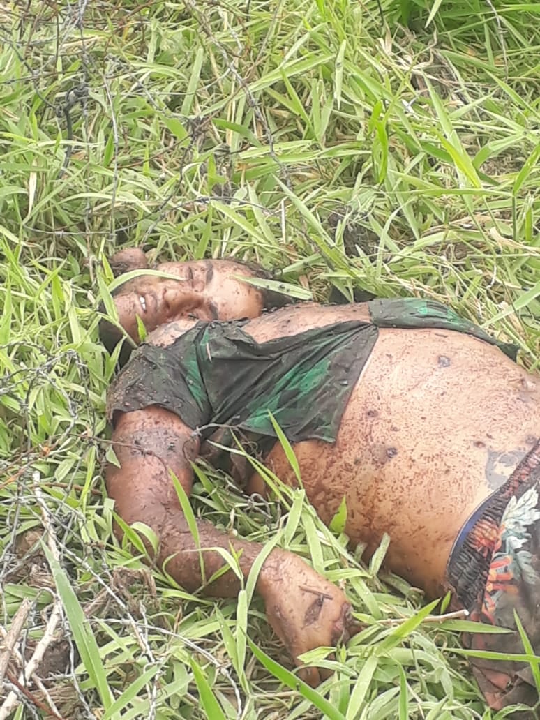 Found decapitated body in roadside grass