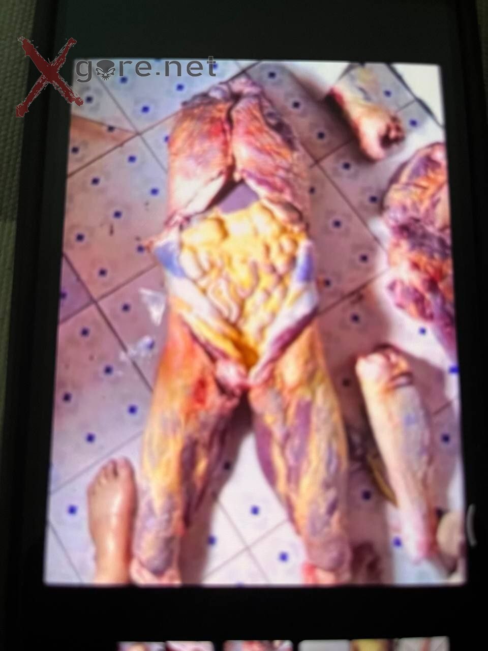 Dismembered-skinned-cooked his penis