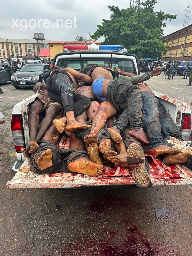 Photos of the bodies of nine thugs shot dead by police in Nigeria