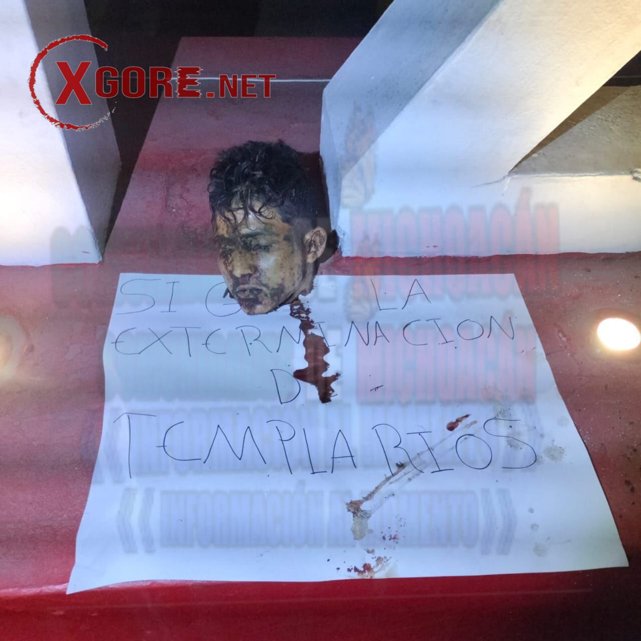 Human Head Found in Michoacan, Mexico with Drug Cartel Message