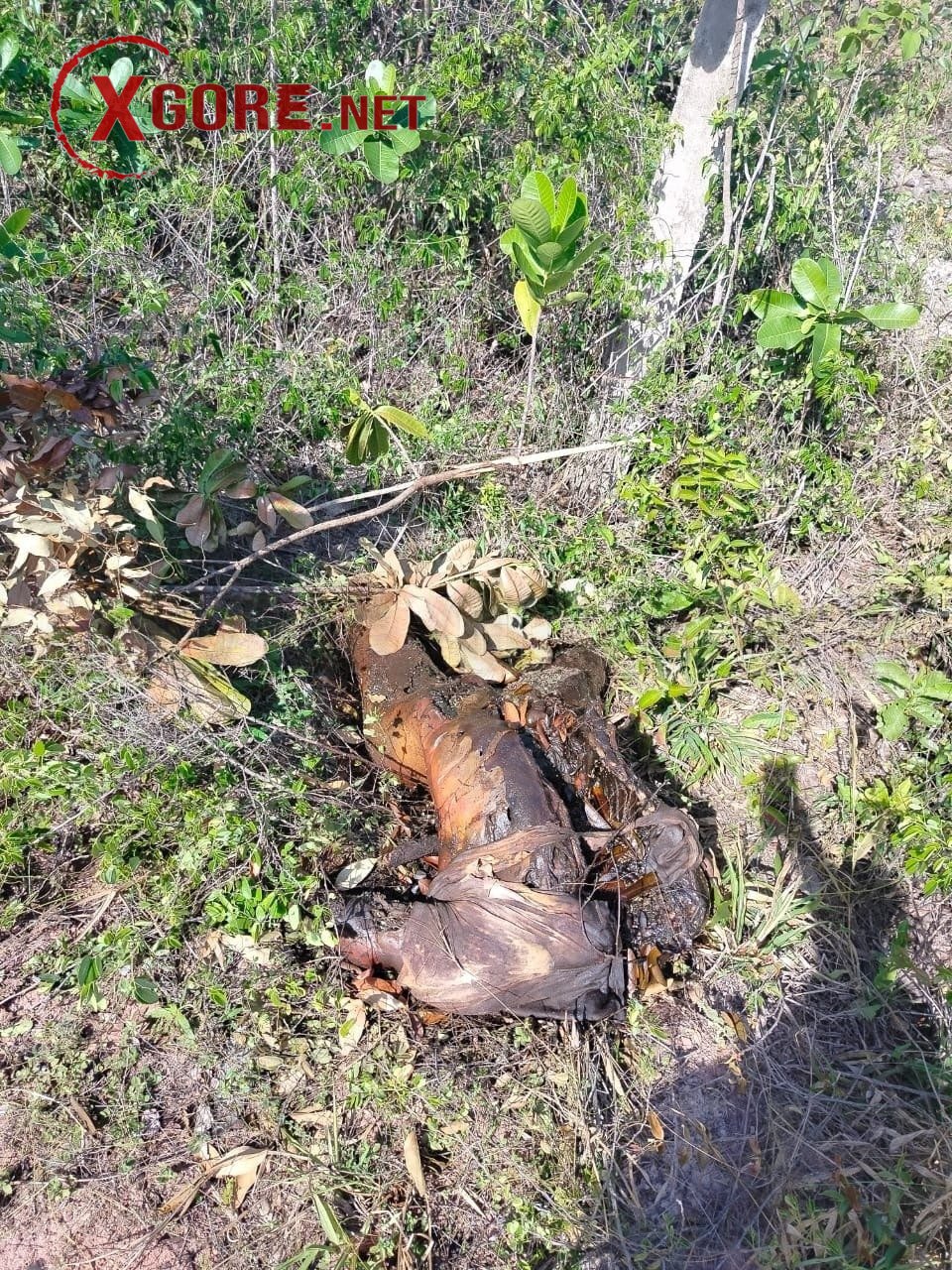 Decomposing dismembered body found in Caucaia, Ceará