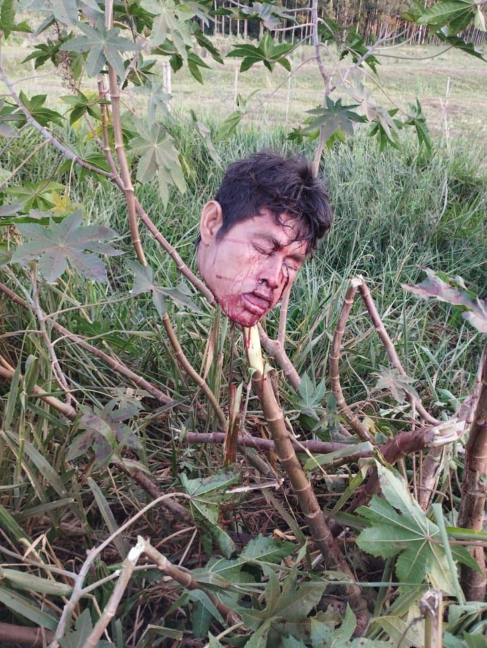 Indigenous Avá Guarani Man Decapitated in Brutal Land Conflict in Western Paraná