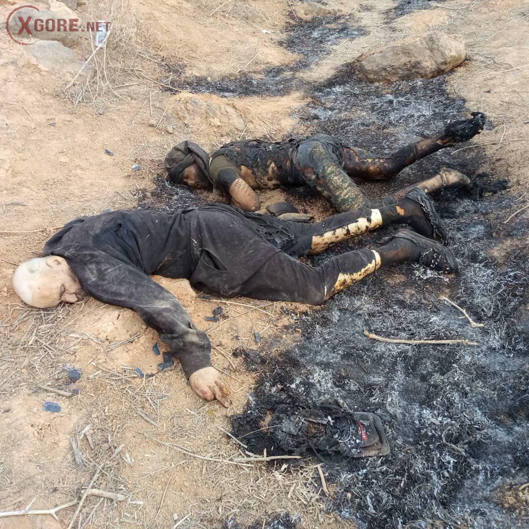 Brutal Aftermath in Syria: Photos Reveal Scattered Bodies of Druze Militants Following Intense Battle