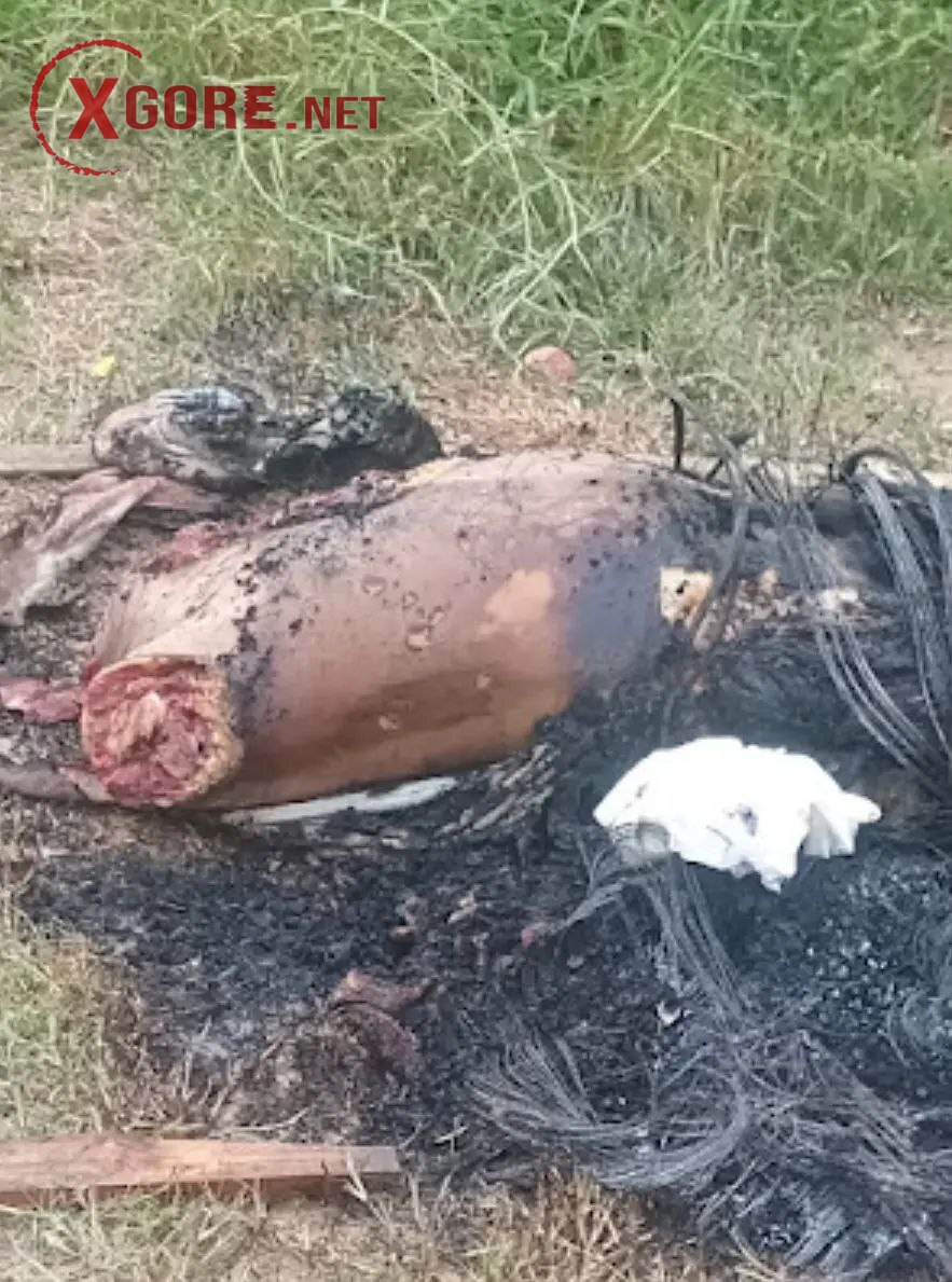 Brutal Dismemberment in Manaus: “Argentino” Executed Amid Gang Rivalry