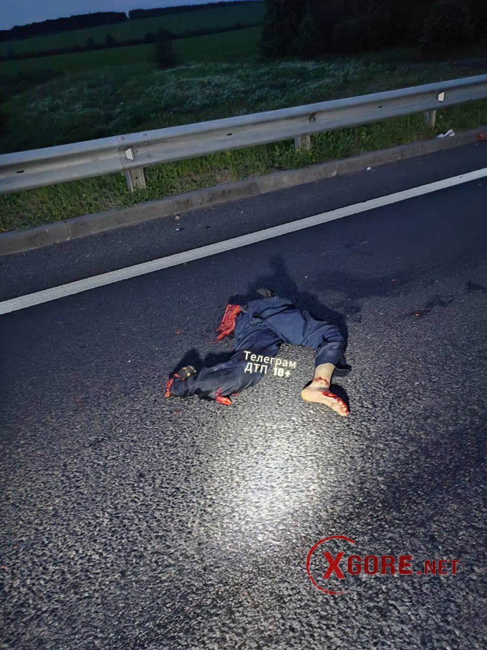 Horrific Highway Accident in Russia: Man Dismembered After High-Speed BMW Collision