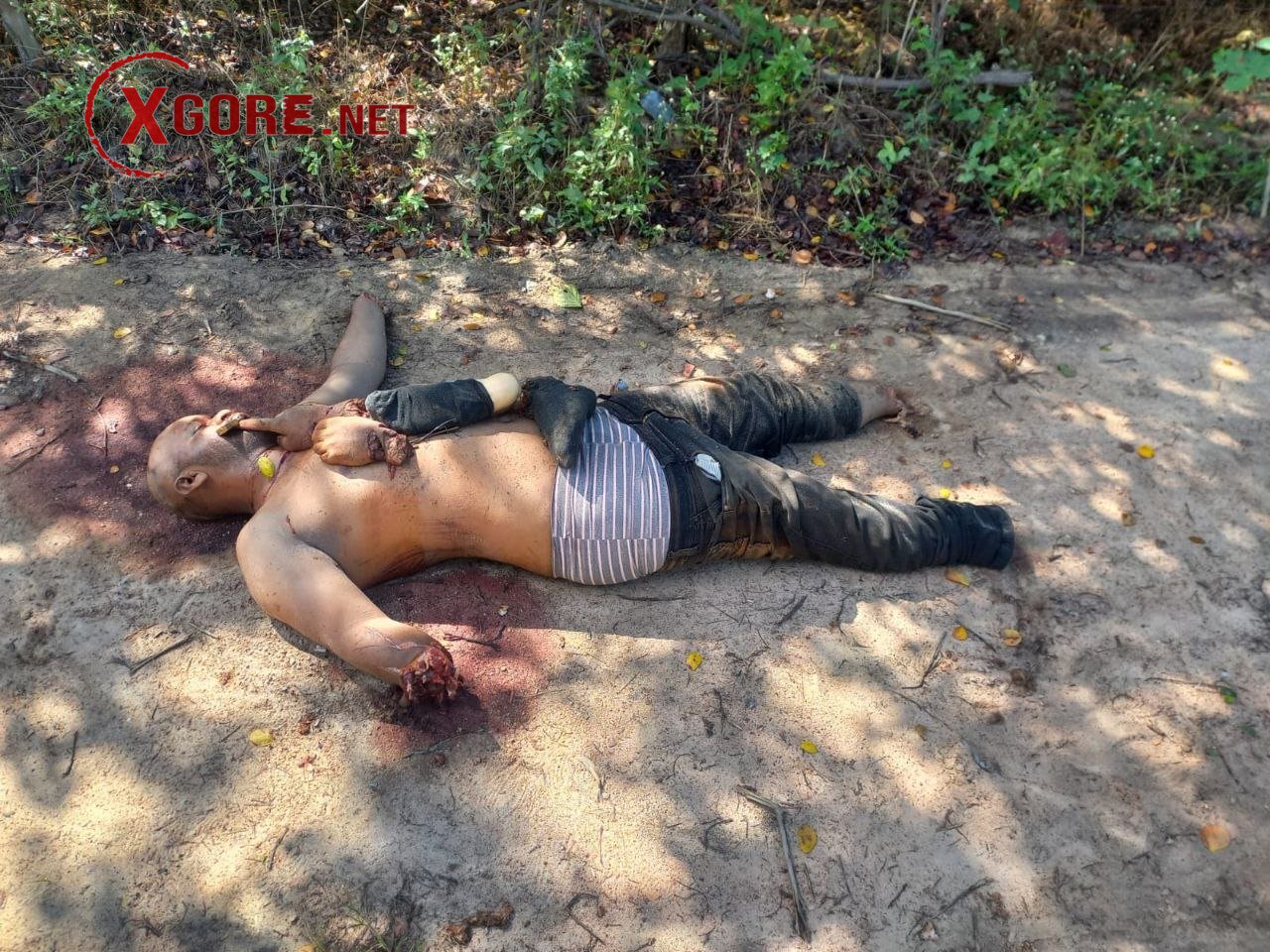 Brutal Murder of Child Protection Counsellor Shocks Brazilian Town