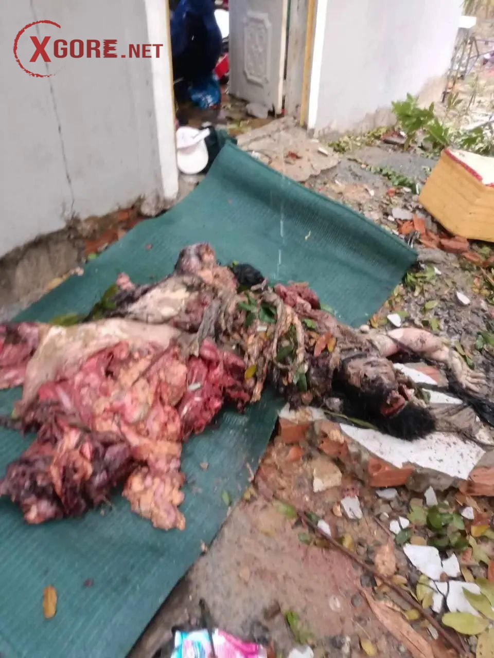 Devastating Ammunition Explosion in Cambodia Kills 20 Soldiers, Leaves Scene Littered with Body Parts