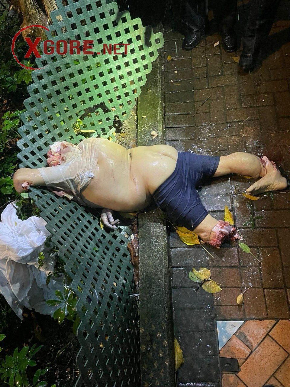 Decapitated Body Found in Wan Chai Amid Black Rainstorm; Police Recover Severely Damaged Head