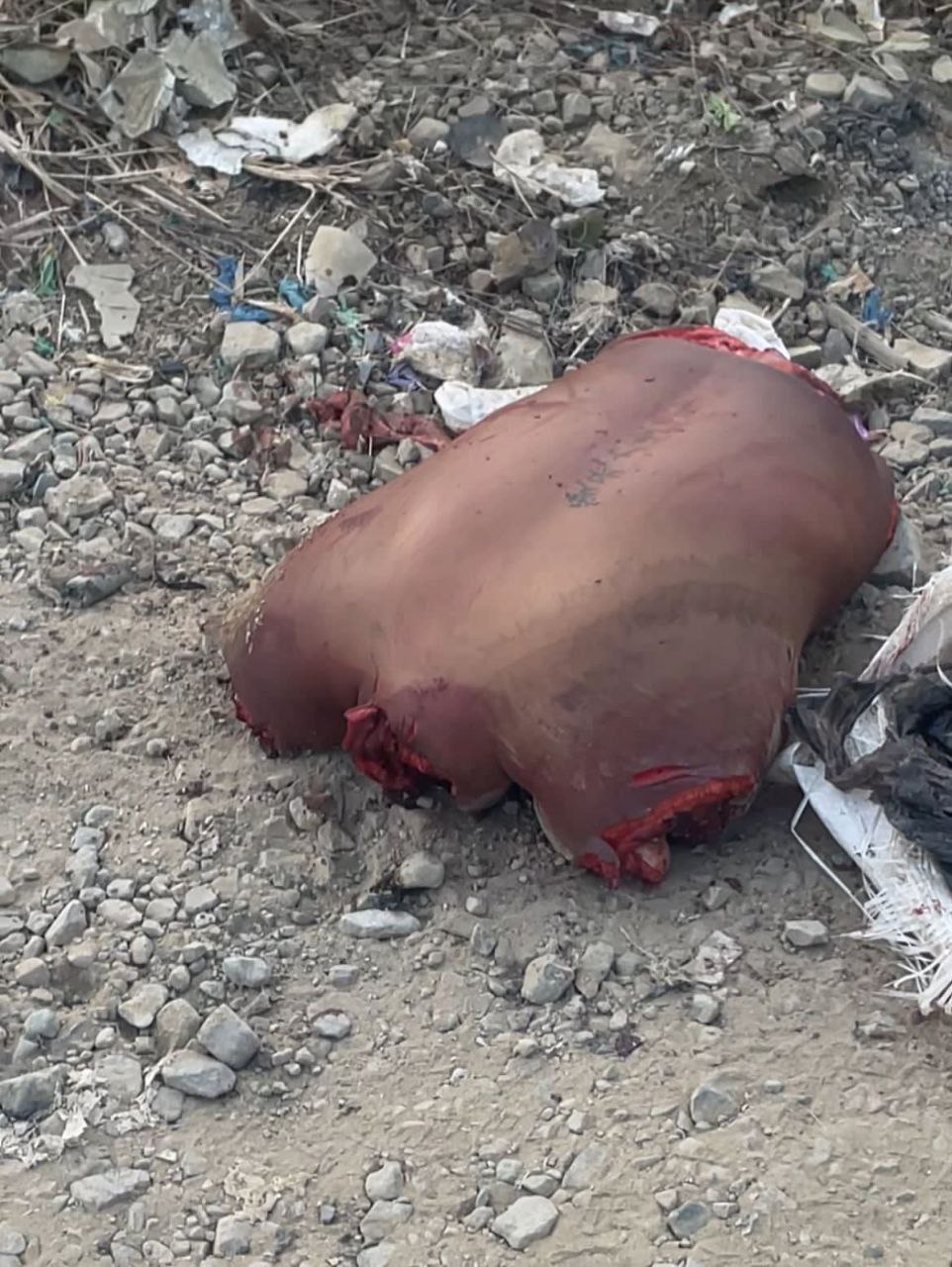 Dismembered body found in Consolata in Guayaquil, Ecuador
