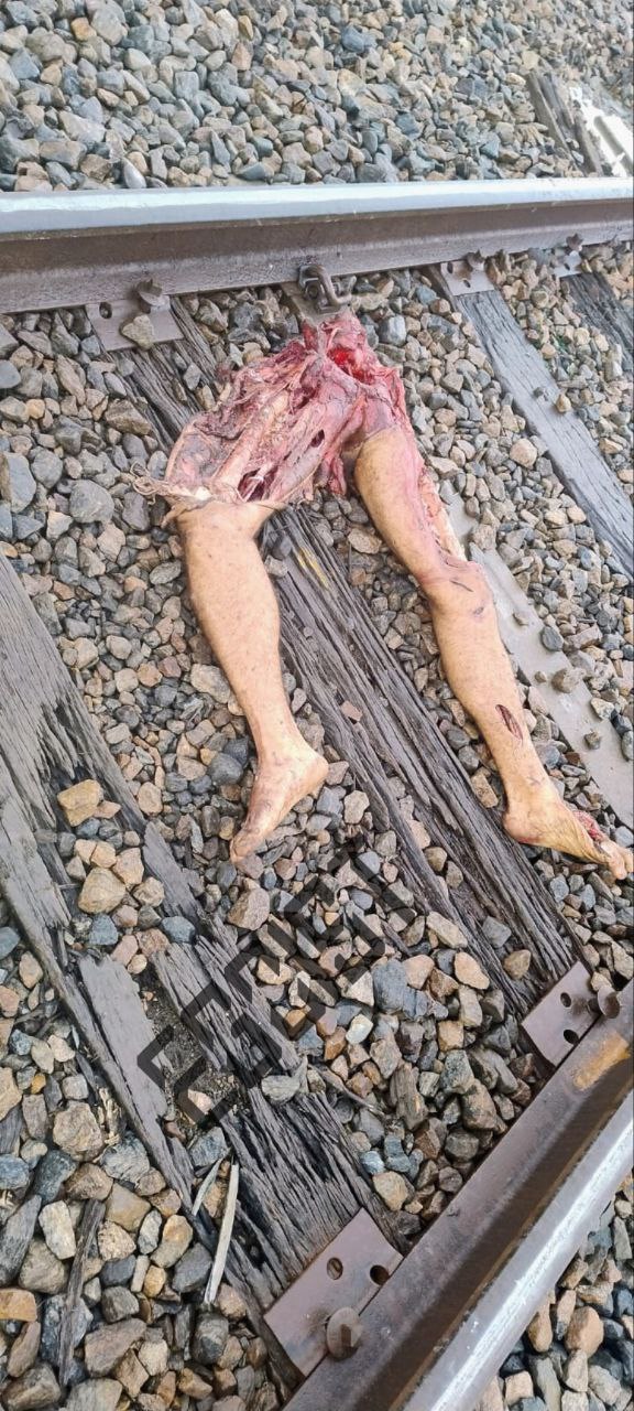 2025 Serious Accident- Man Cut in Half by Train
