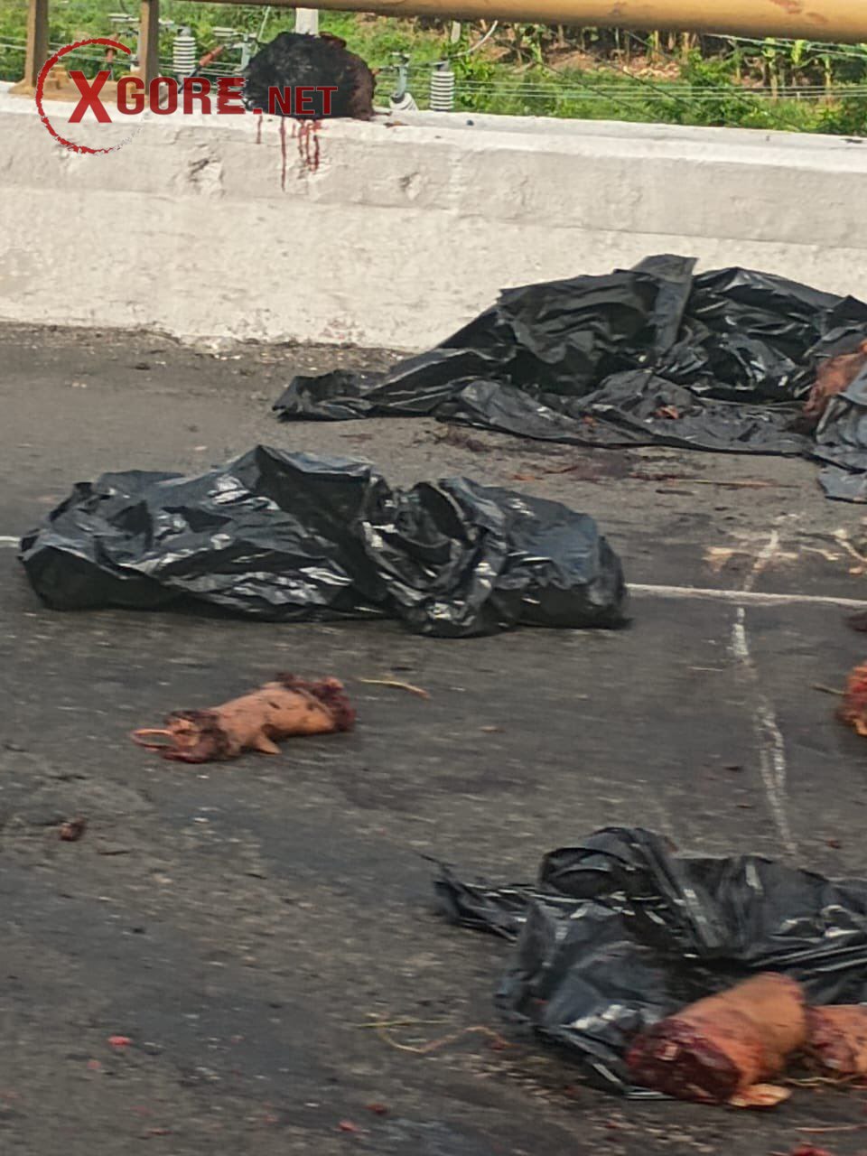 At Least Three Dismembered Bodies Abandoned on Veracruz Highway, Narco-Message Blames Grupo Sombra