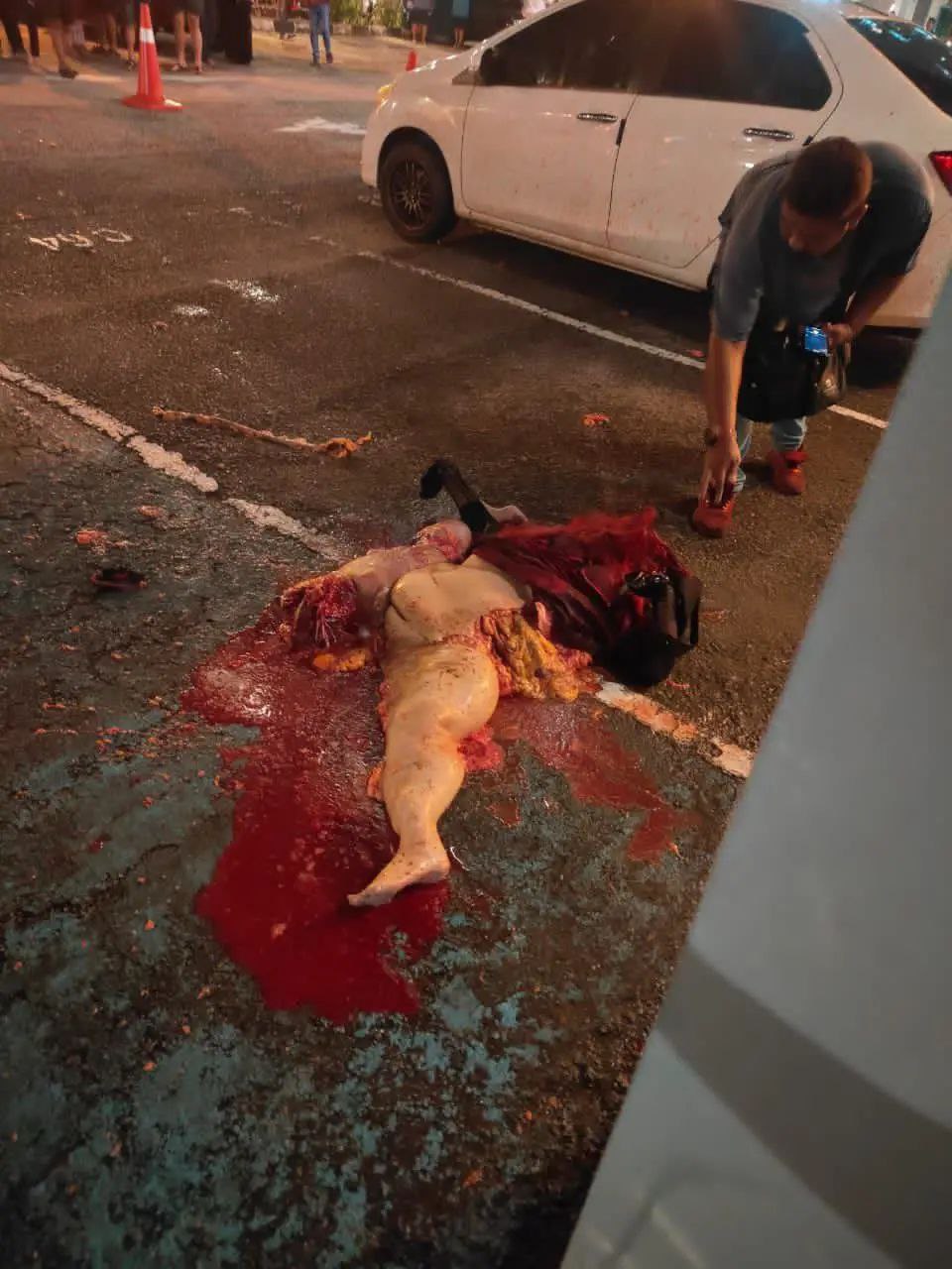 Woman cosplays as cat girl then jumps to her death