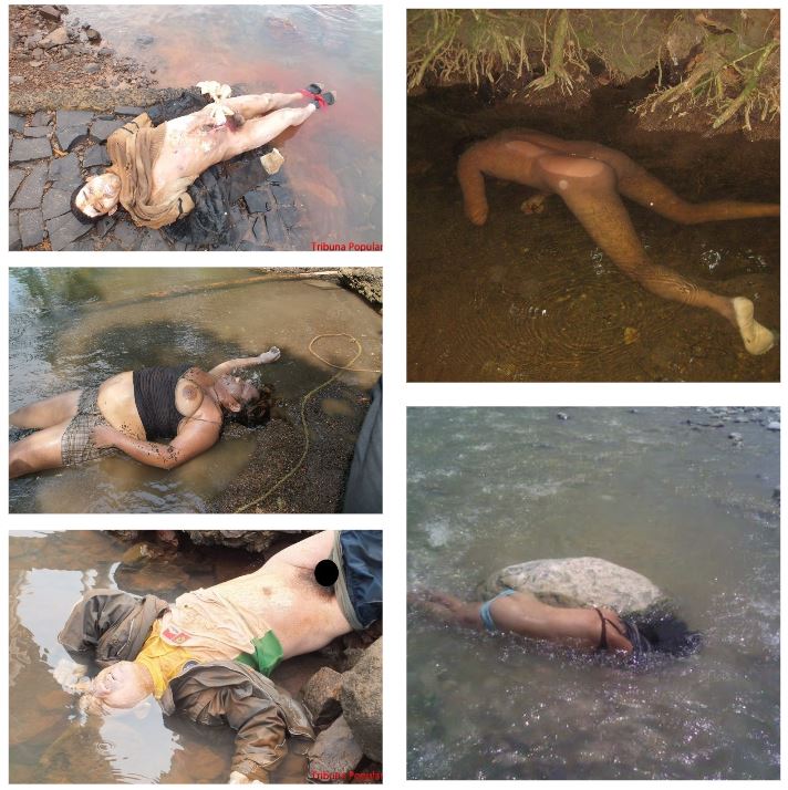 Photo compilation of floating corpses in water