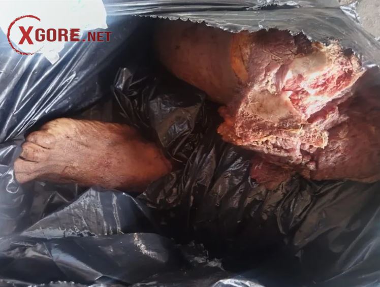 Mexico dismembers rival member