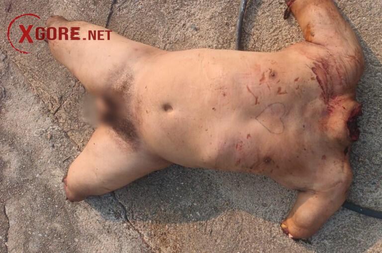 dismembered body gang mexico