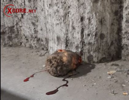 mexico motorcyclist decapitated