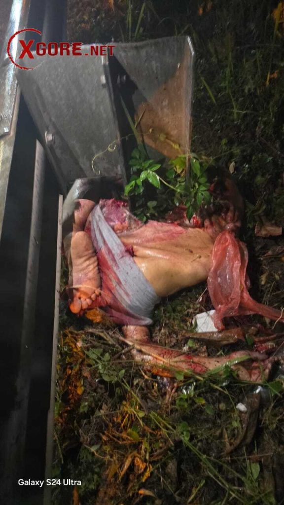 Pedestrian crushed by truck