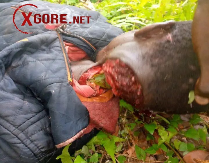 latest beheading photos