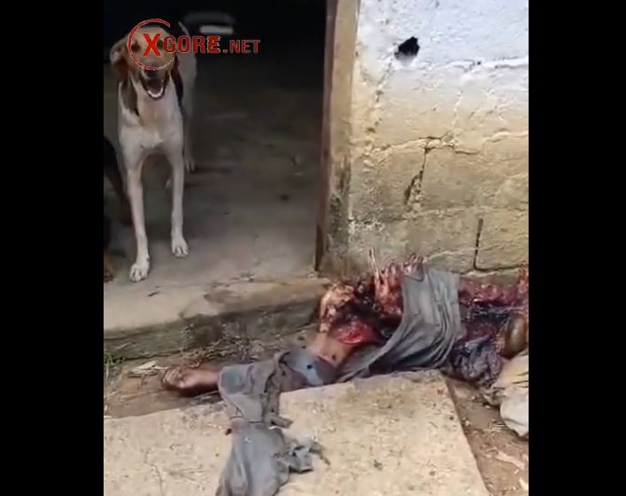 corpse was half eaten