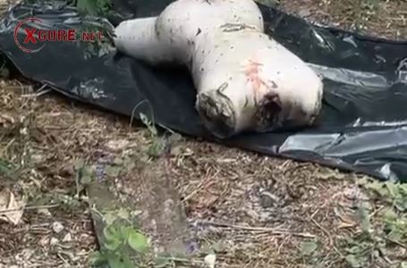 Dismembered Body Parts Spark Murder Investigation