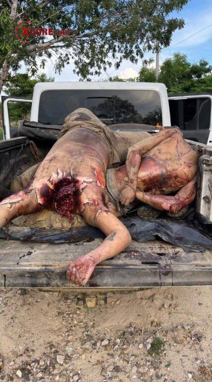 captured and savagely beheaded by riva