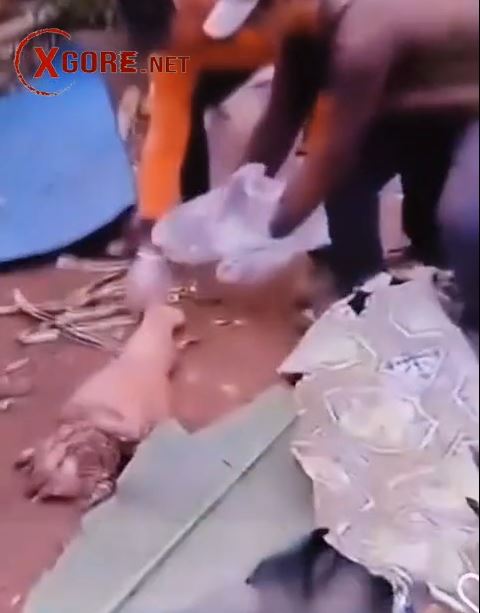 Villagers Collect Scattered Body Parts of Woman