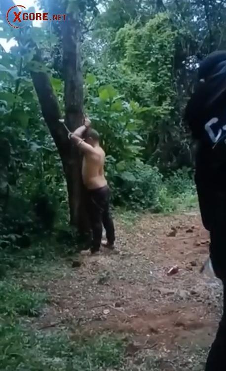 Shocking CJNG Execution Video: Rival Tied to Tree and Burned Alive with Flamethrower in Mexico