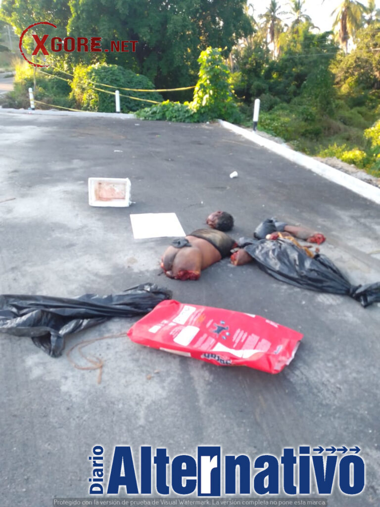 dismembered body Copala Boulevard 01