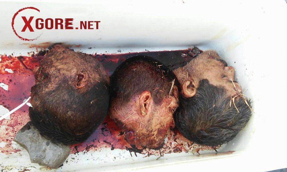 photos of severed heads left by gangs in Mexico 02
