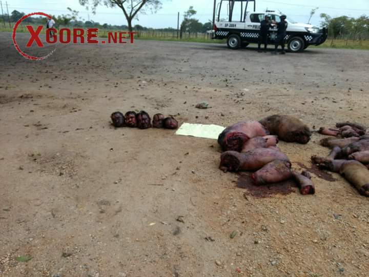 Six Dismembered Bodies of Men Found on Federal Highway.01