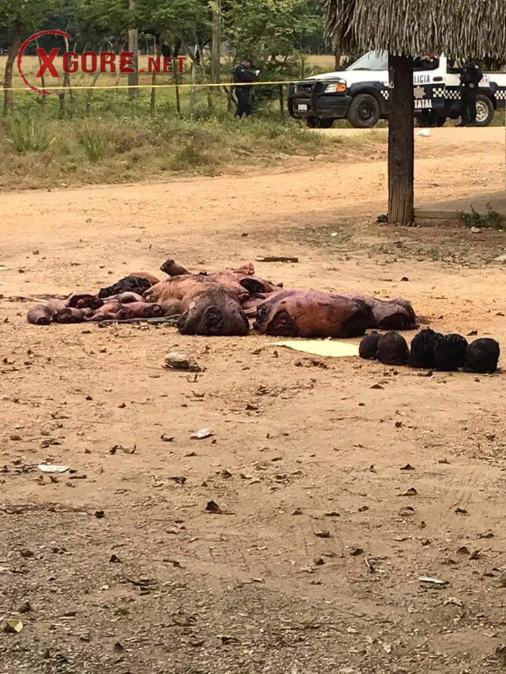 Six Dismembered Bodies of Men Found on Federal Highway.02