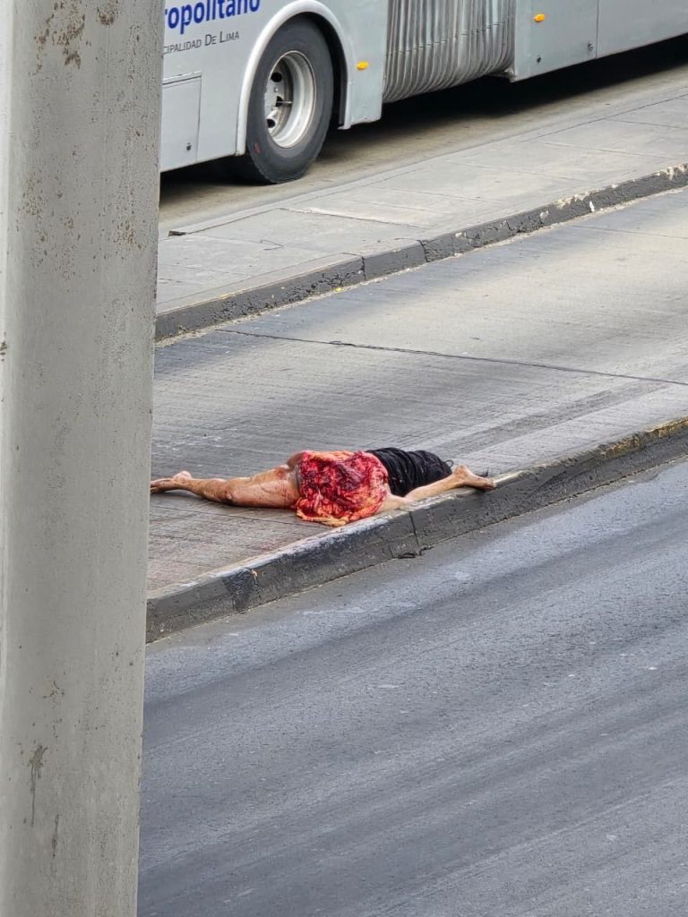 The woman jumped off the bridge and was crushed by a truck 02