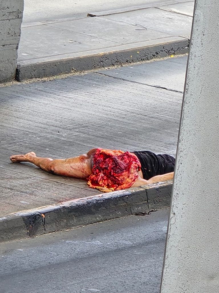 The woman jumped off the bridge and was crushed by a truck 03