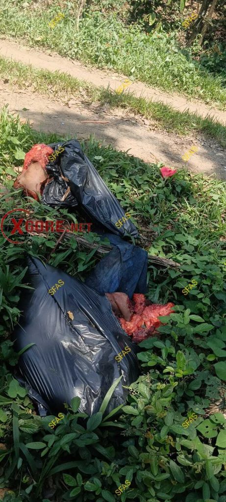 Dismembered Bodies Found in Black Plastic Bags 01