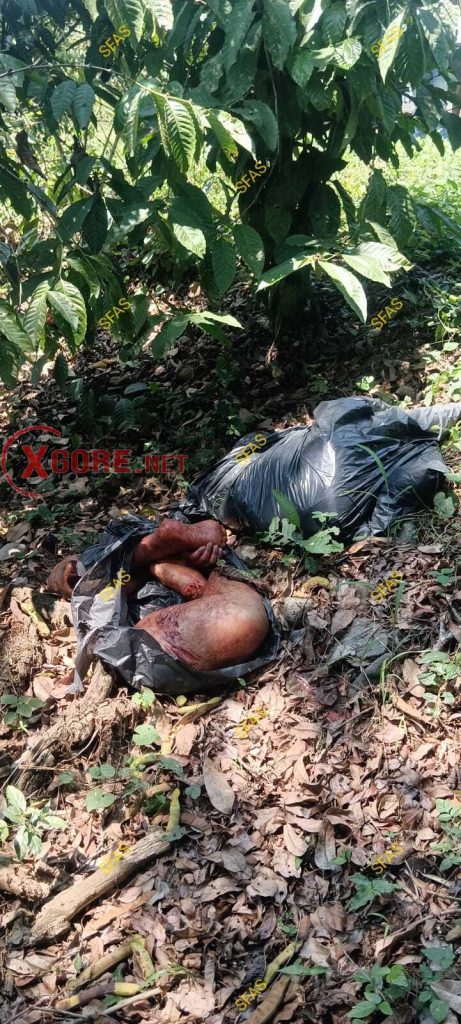 Dismembered Bodies Found in Black Plastic Bags 02