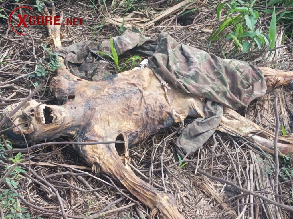 Decomposed Body of Man Found Next to Motorcycle 01