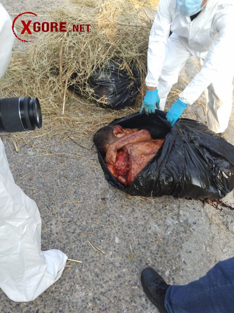 Four dismembered bodies were discovered inside black garbage bags. 02