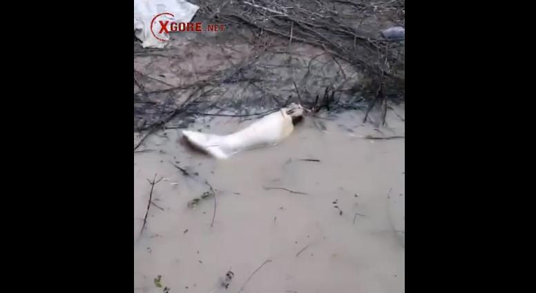 The victim was presumably a gang member who was executed and dismembered