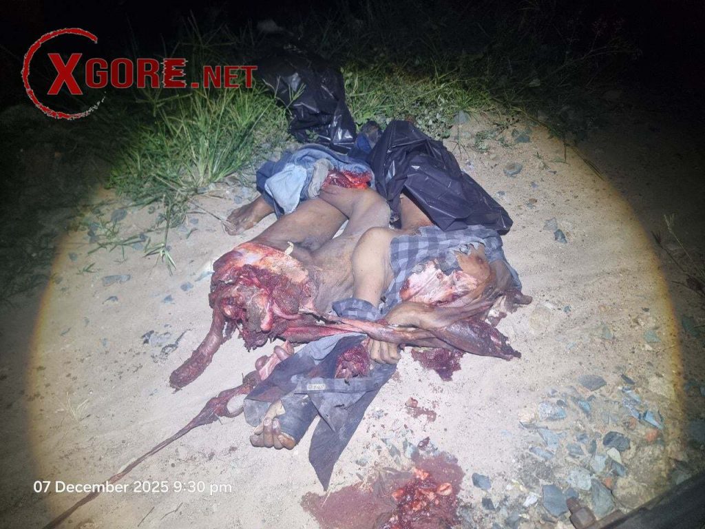 The young man was cut into pieces by the train -02