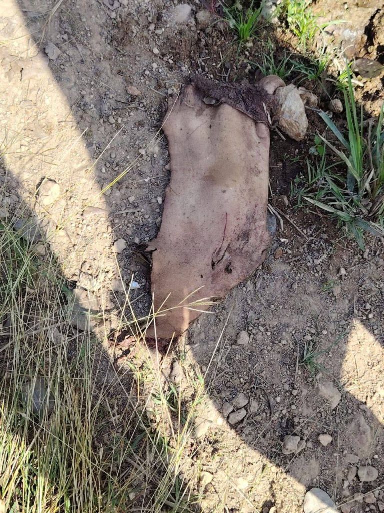 Explosive Attack in Pailitas, Cesar KillsKills Merchant and Son in Colombia Merchant and Son in Colombia 06