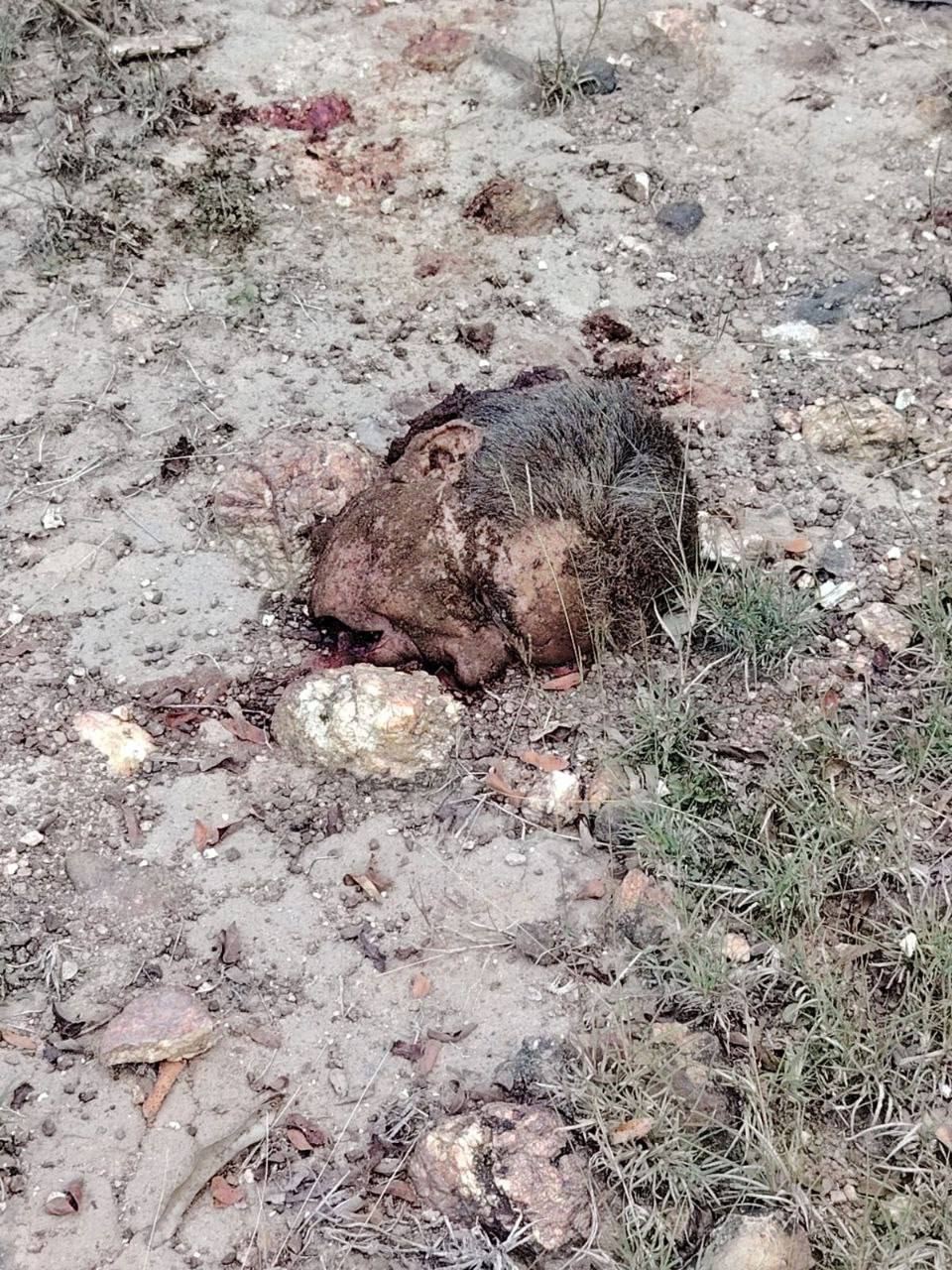 Explosive Attack in Pailitas, Cesar KillsKills Merchant and Son in Colombia Merchant and Son in Colombia