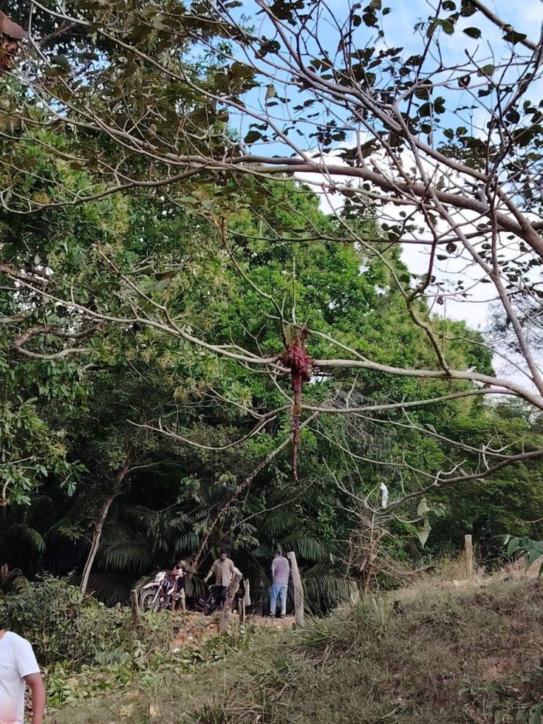 Explosive Attack in Pailitas, Cesar KillsKills Merchant and Son in Colombia Merchant and Son in Colombia 04