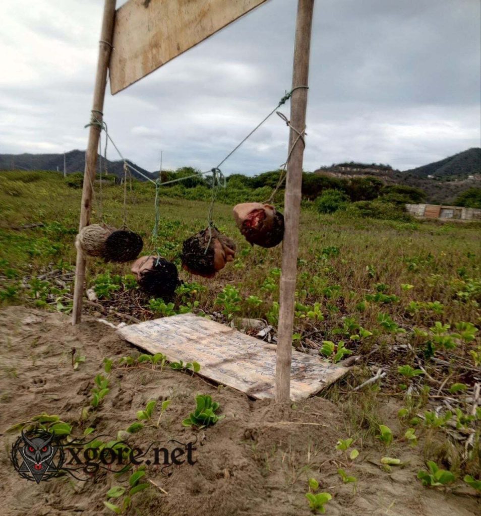 Gruesome Discovery: 5 Severed Heads Hung on Clothesline at Ecuador Beach with Narco Threat 04