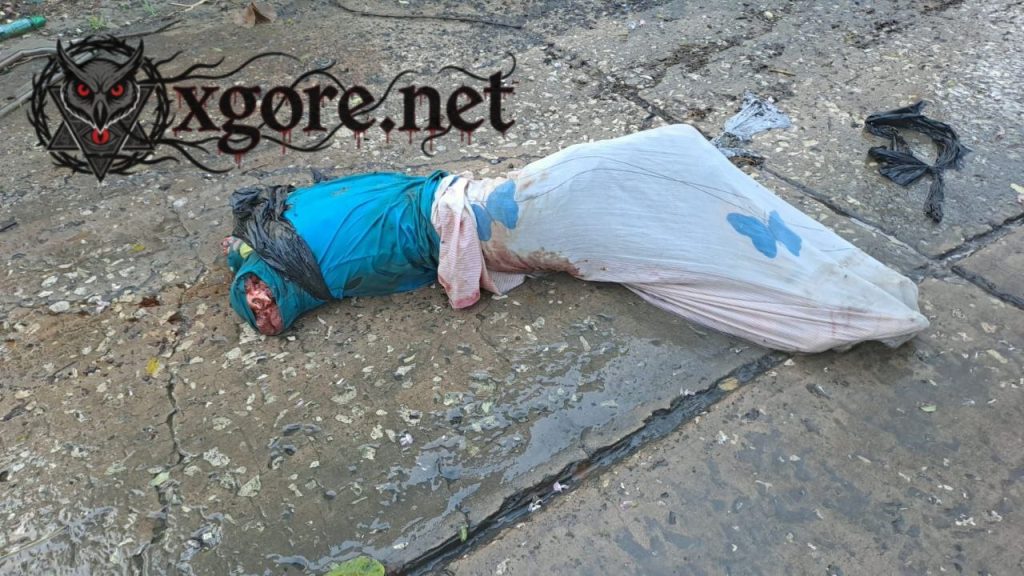 Dismembered Body Wrapped in Sheet Found Under Bridge in Soledad 01