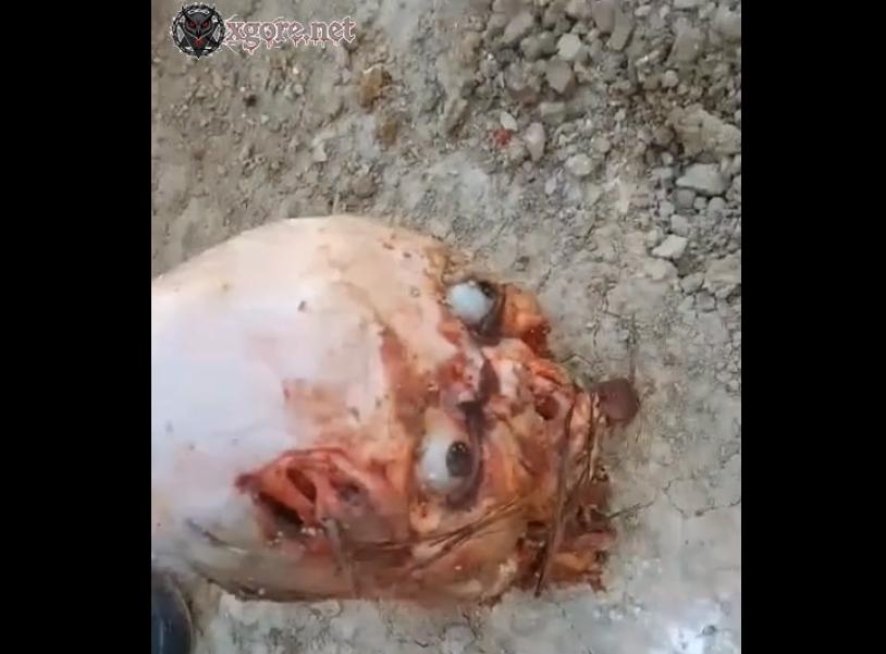 Horrific Gang Violence in Haiti: Severed Head Skinned in Graphic Video