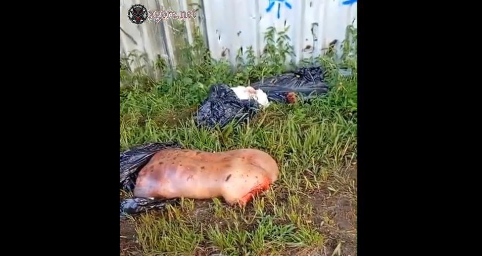 The decapitated and dismembered body of a man was found